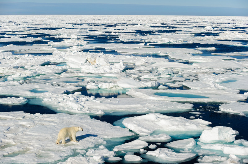Северный полюс - ничейная земля занимательно, интересно, северный полюс, факты