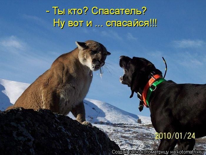 Мысли вслух :)