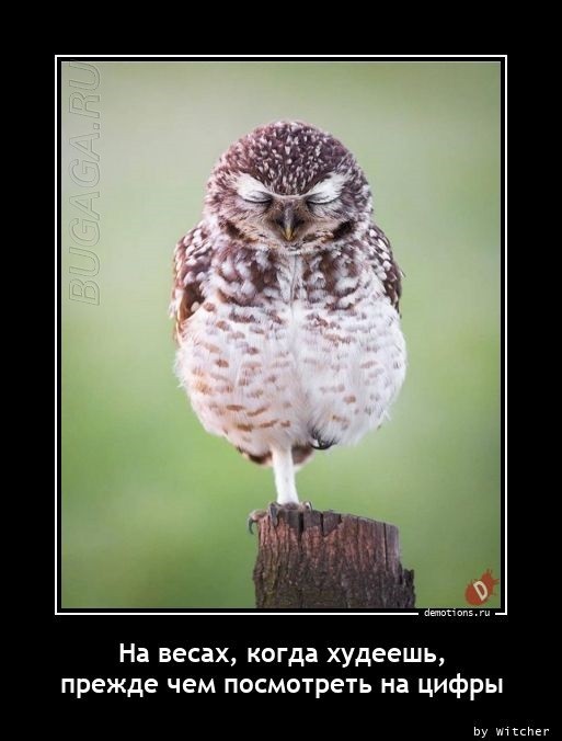 Демотиваторы-приколы в середине недели: «Мужчины все вещи обычно вешают на…»  