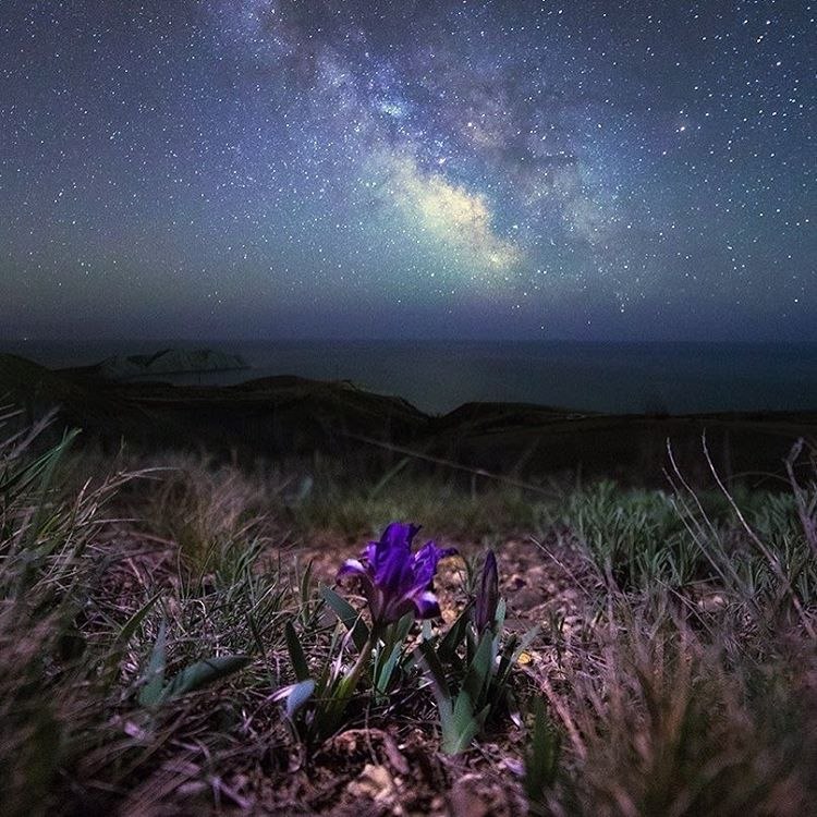 Подборка милых картинок и красивых фотографий из сети красивые фотографии,прикольные картинки,шикарные фотографии
