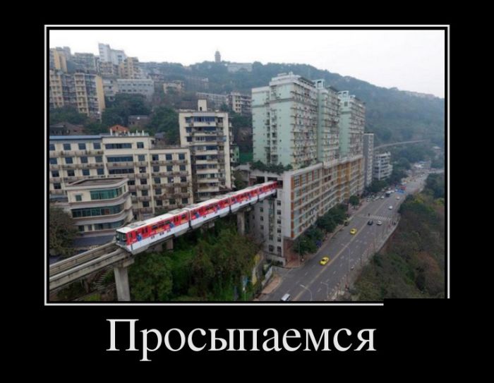 Демотиваторы выходного  дня 