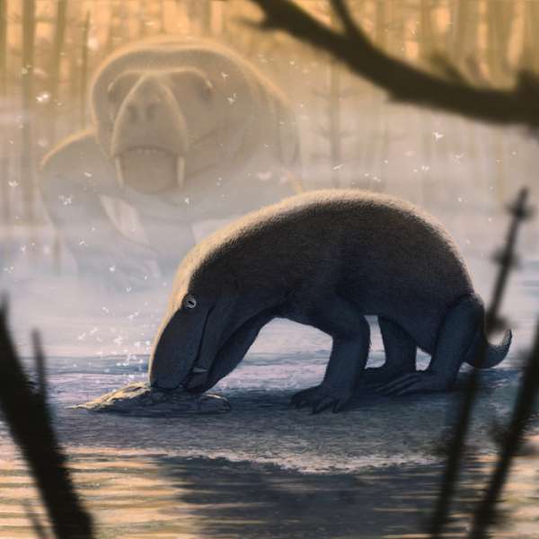 Как выглядел звероящер, останки которого нашли в Кировской области