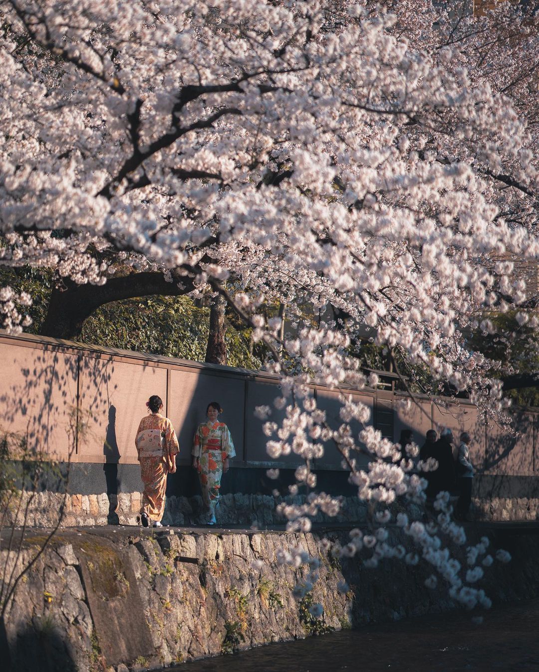 Непередаваемое очарование японских улиц на снимках Пэта Кея страна восходящего солнца,тревел-фото,Япония