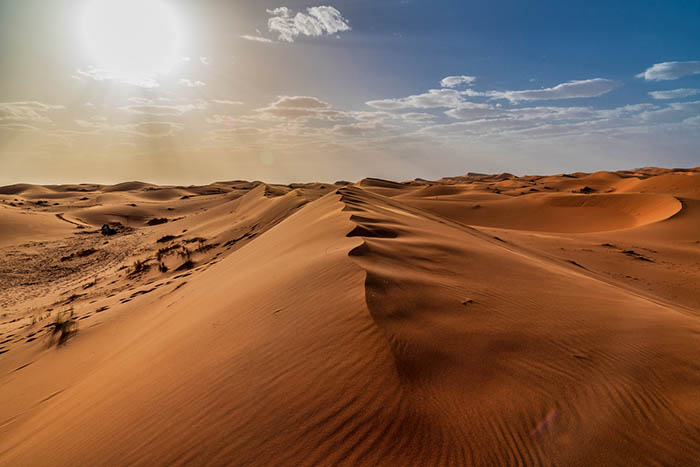 Как люди выживают в экстремальных условиях пустыни