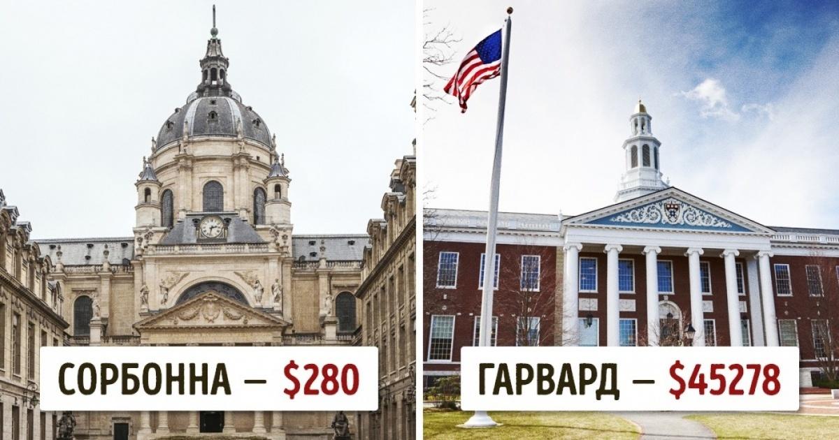 Стоимость Обучения В Гарварде