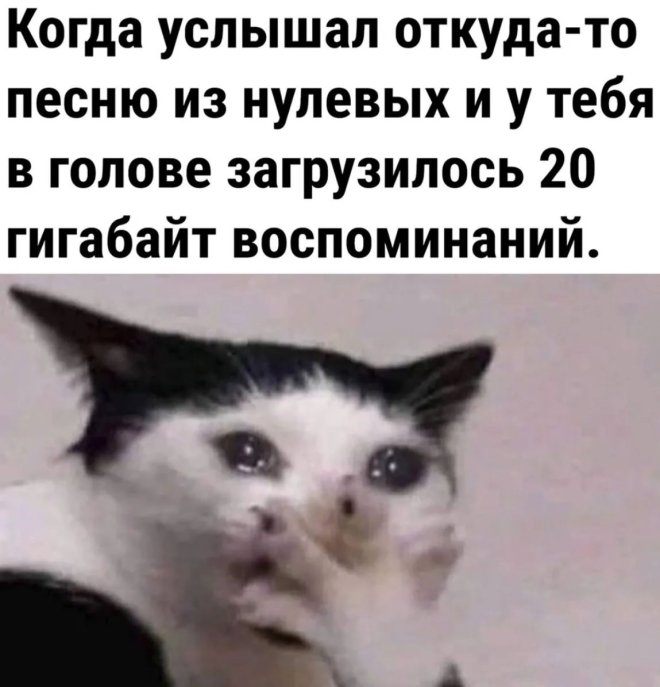 Смешные картинки с надписями и физика для чайников Смешные картинки с надписями и физика для чайников