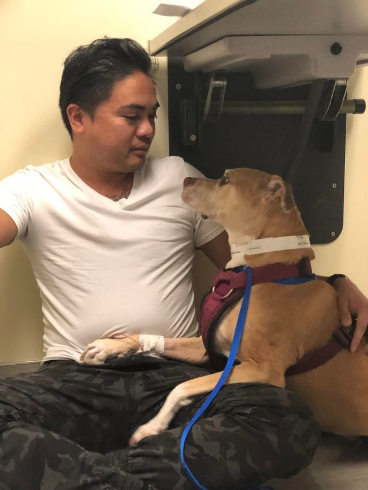 15 эмоциональных снимков, которые находят мощный отклик в душе 15 эмоциональных снимков, которые находят мощный отклик в душе жизнь,мир