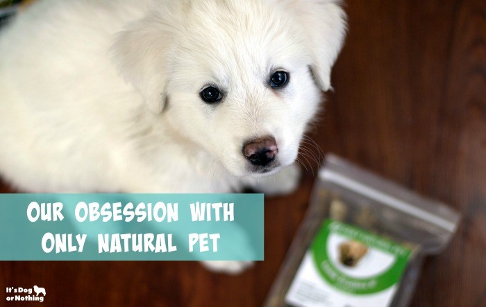 It's no secret that we love Only Natural Pet. They provide high-quality food and chews at affordable prices and the fluffies are obsessed with all of it.