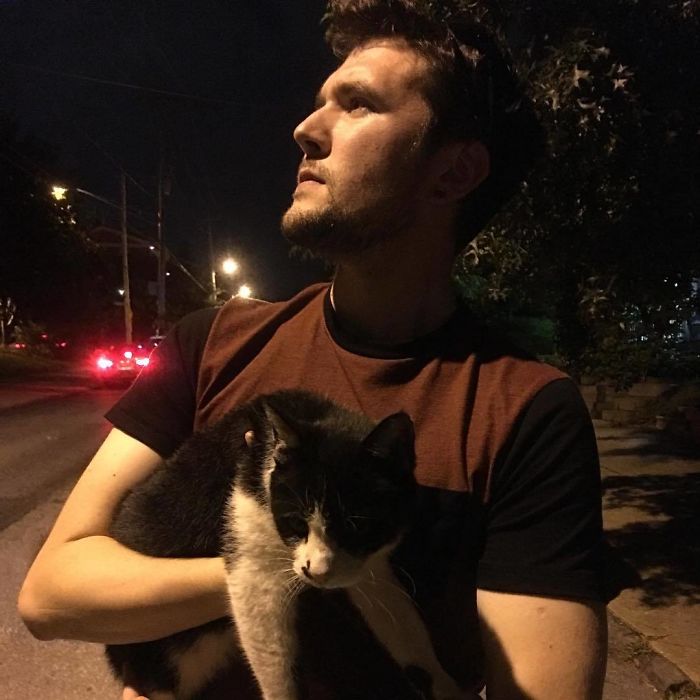 Man Cuddles Cats On Instagram