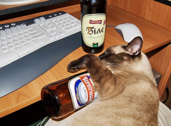 Как побыстрее прийти в себя с похмелья? 