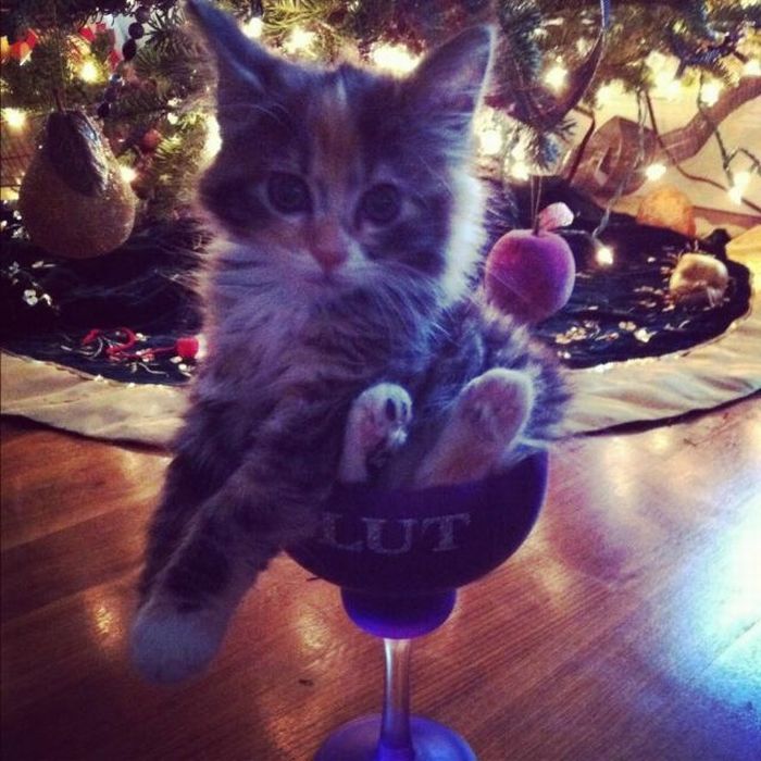 Давайте улыбаться вместе! :) №270114