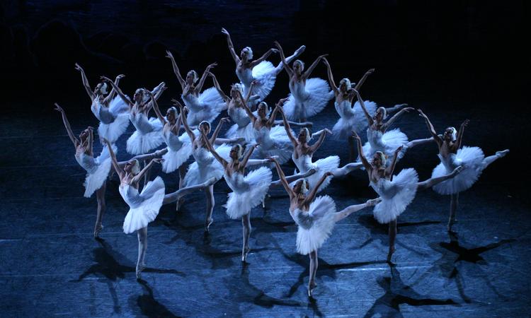 Фото: "Летние балетные сезоны"