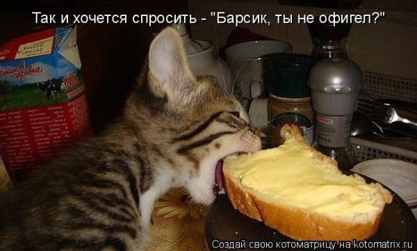 Мысли вслух :)