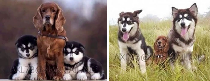 Then And Now
