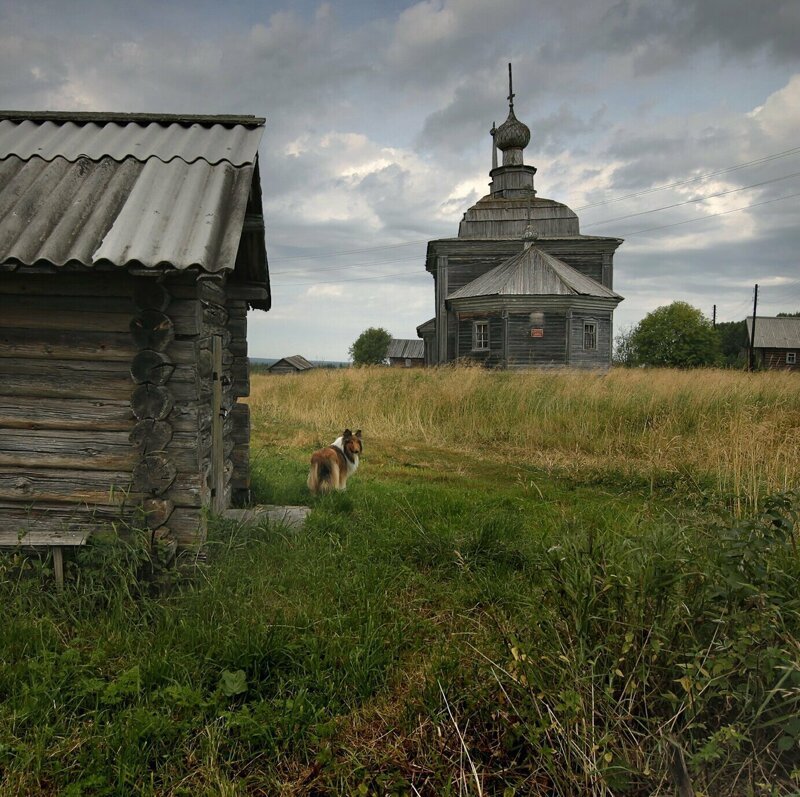 Простота и обаяние российских пейзажей город, природа, родина, россия, село, эстетика