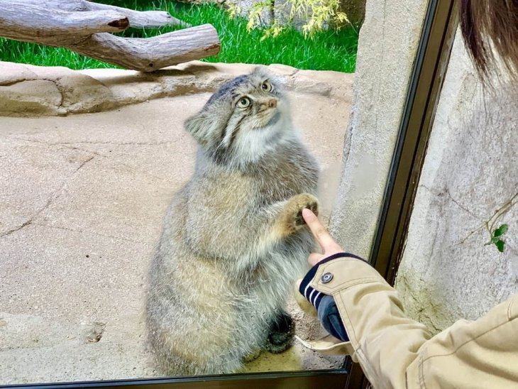 Прикольные фотографии - воскресный выпуск 