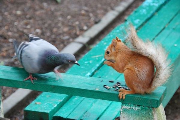 Давайте улыбаться вместе :)