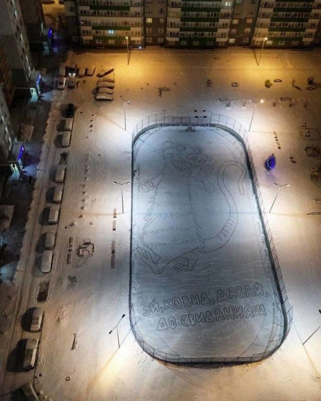 Приколы на любой вкус приколы,смешные картинки,юмор