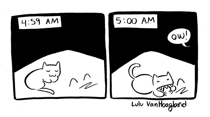 Cat-comics-lulu-vanhoagland-art