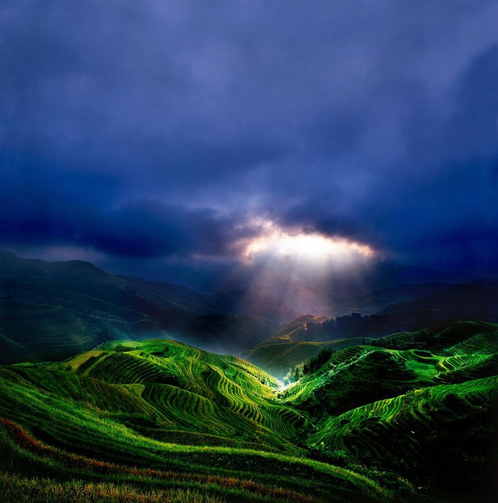 thierry bornier