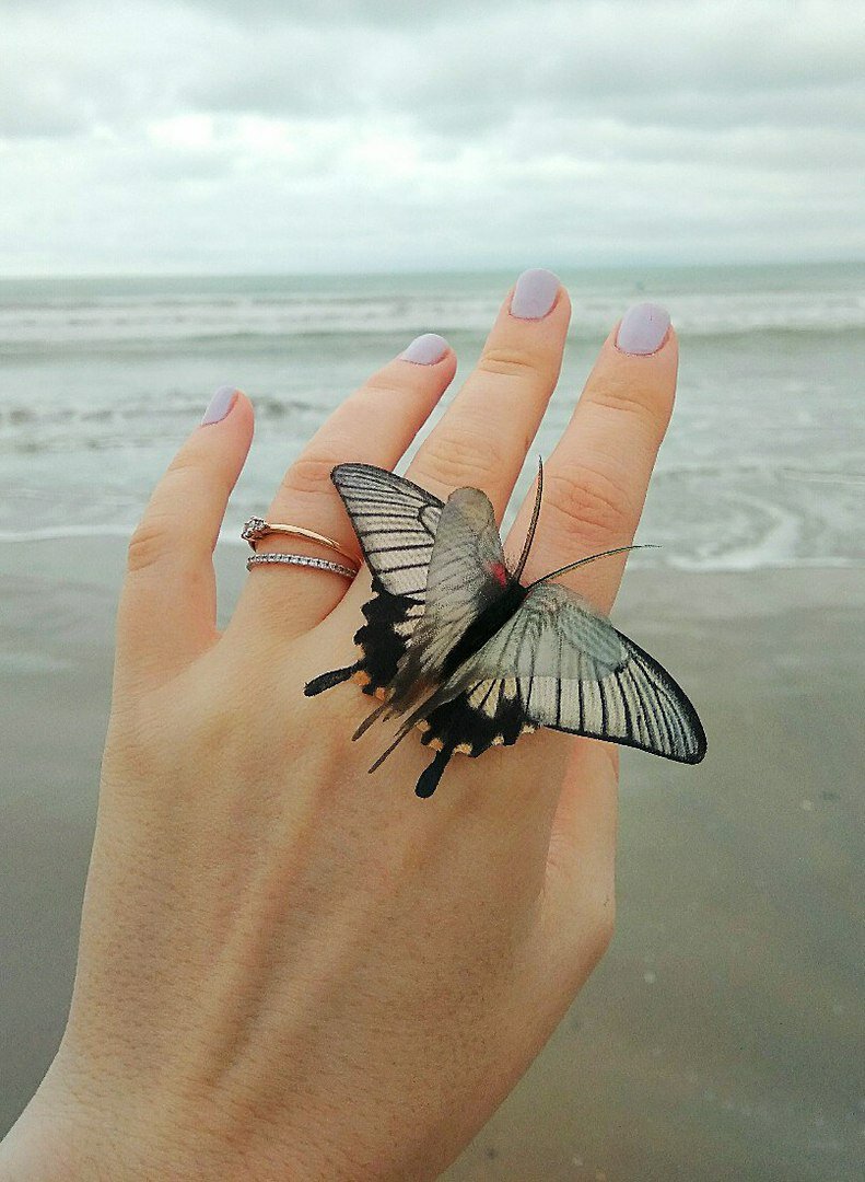 Порхающие украшения: бабочки из шёлка от Анастасии Шачневой