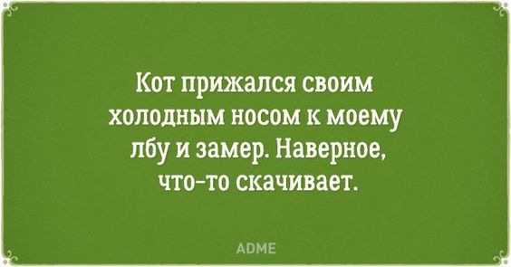 Попросил любимую: "Покажи мне ножки...!" Улыбнемся))