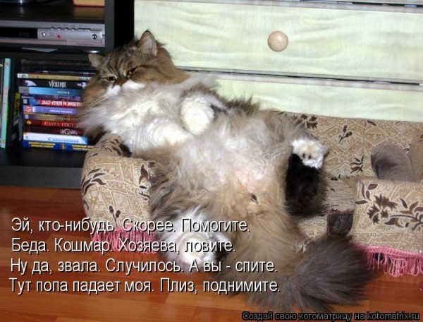 Мысли вслух :)