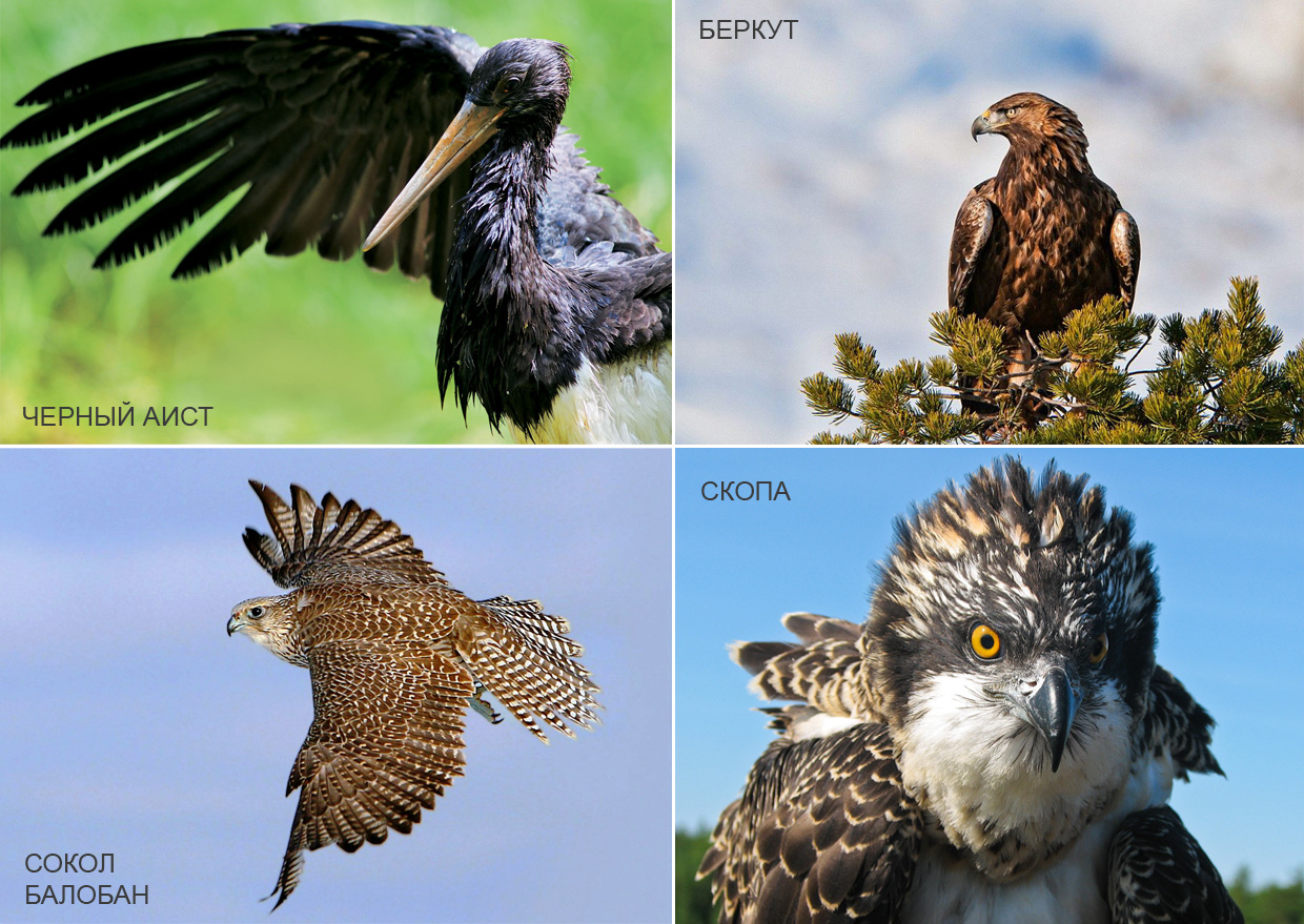 Национальный парк Ергаки в Красноярском крае Национальный парк Ергаки в Красноярском крае автотуризм