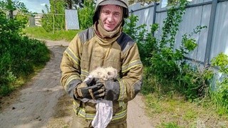 Спасатель с котенком / Фото: МЧС России