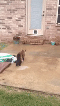 всякое случается, привычка, привычки, прикол, юмор