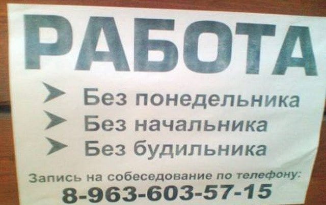Смешные объявления: на работу требуется человек Смешные объявления: на работу требуется человек картинки,юмор