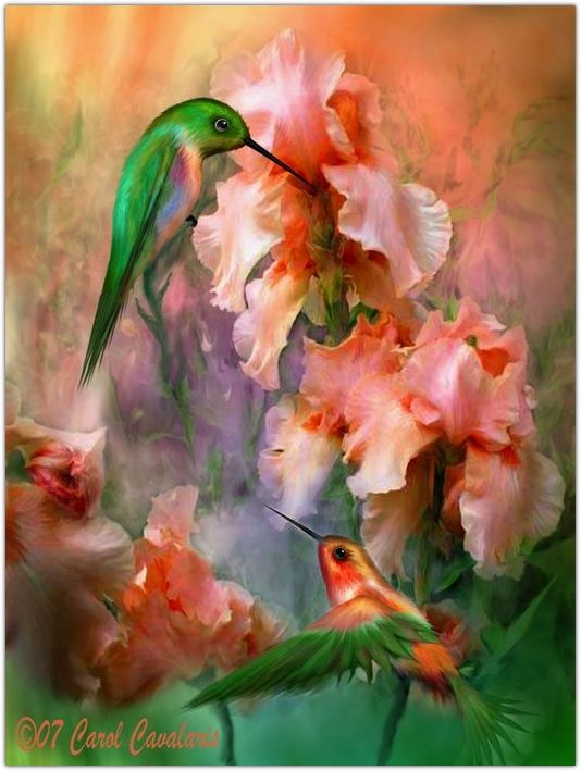 �������� �������� ����� ���������