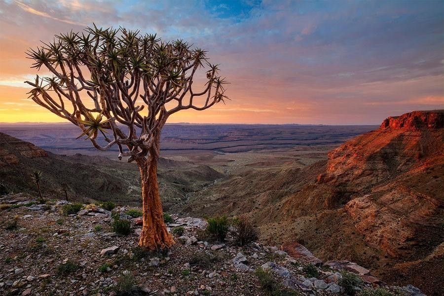 Фантастические пейзажи Намибии намибия,пустыня,фото