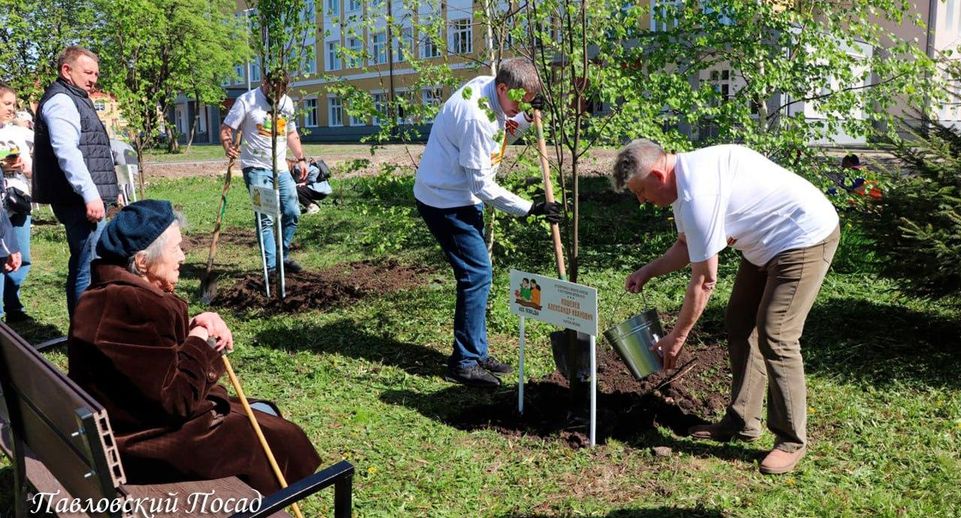 Жители Павловского Посада приняли участие в акции «Лес Победы»