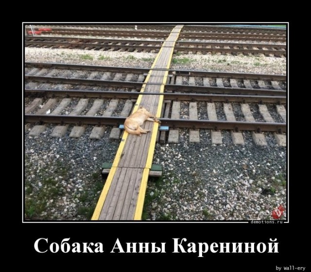 Демотиваторов пост: «Не можешь противостоять?..» 