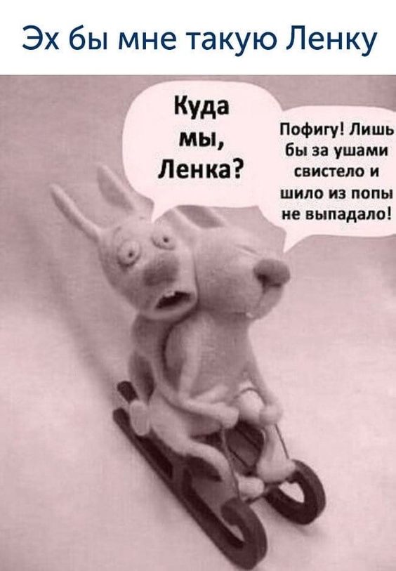 Пришла пора зарядиться позитивом! Подборка зажигательного юмора Пришла пора зарядиться позитивом! Подборка зажигательного юмора