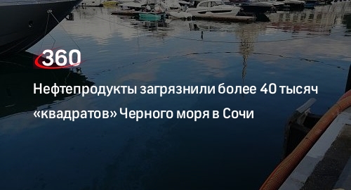 Росприроднадзор расследует загрязнение Черного моря нефтепродуктами в морпорту Сочи