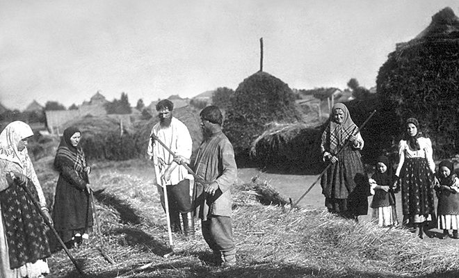 Русские огороды до появления картошки: смотрим, что выращивали крестьяне 200 лет назад Культура
