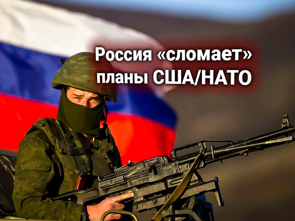 Армия России спасет Сербию и США и НАТО — в Комитете по обороне рассказали о подготовке операции