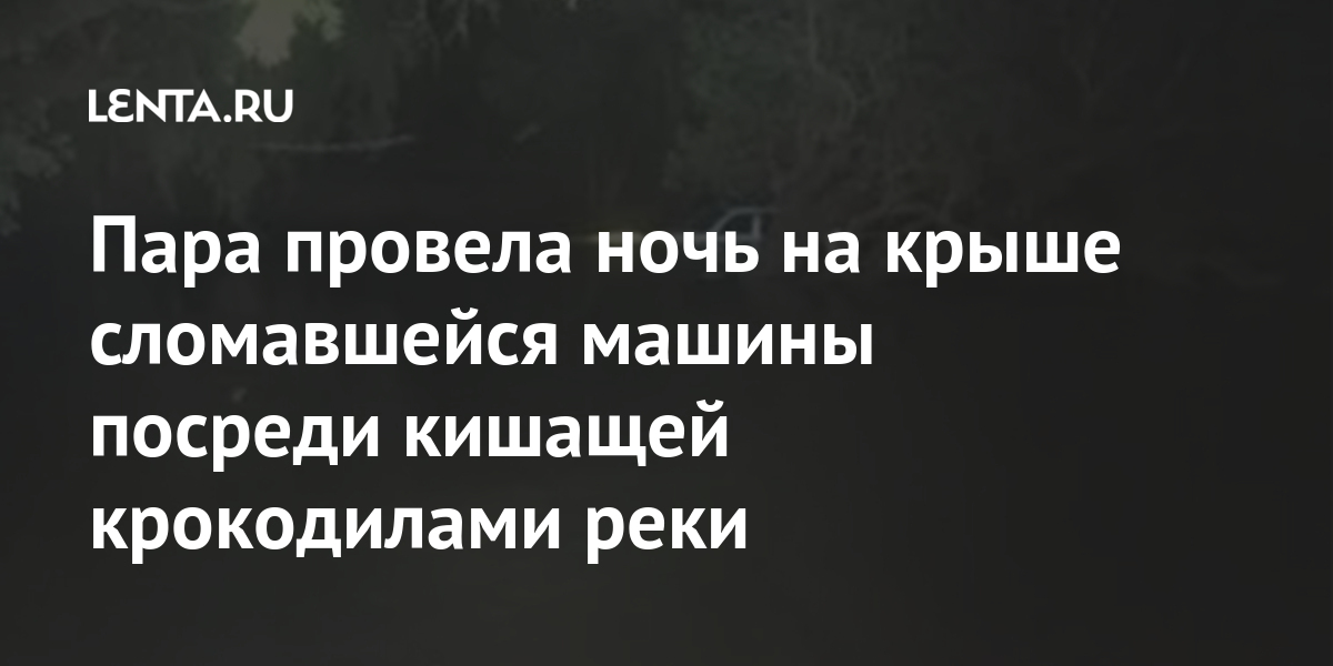 Пара провела ночь на крыше сломавшейся машины посреди кишащей крокодилами реки Из жизни