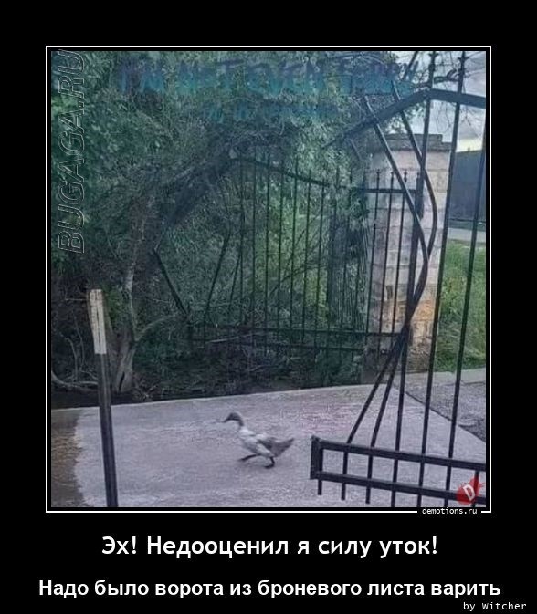 Демотиваторы-приколы в середине недели: «Мужчины все вещи обычно вешают на…»  