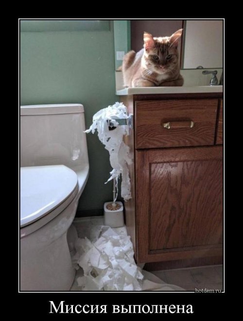 Всем улыбчивого дня и позитивного настроя! веселые картинки