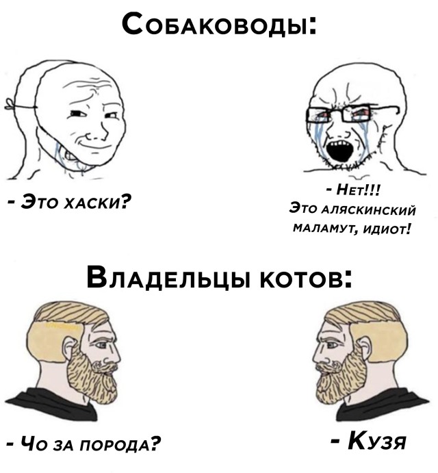 Подборка смешных картинок Подборка смешных картинок приколы,смешные картинки,юмор