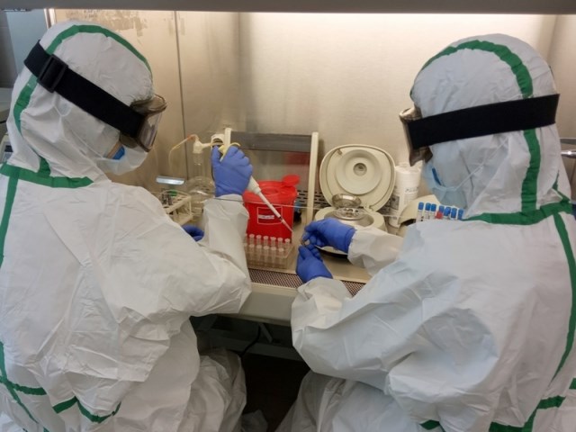 COVID-19 и народосбережение: о готовности регионов к условиям форс-мажора COVID-19 и народосбережение: о готовности регионов к условиям форс-мажора россия