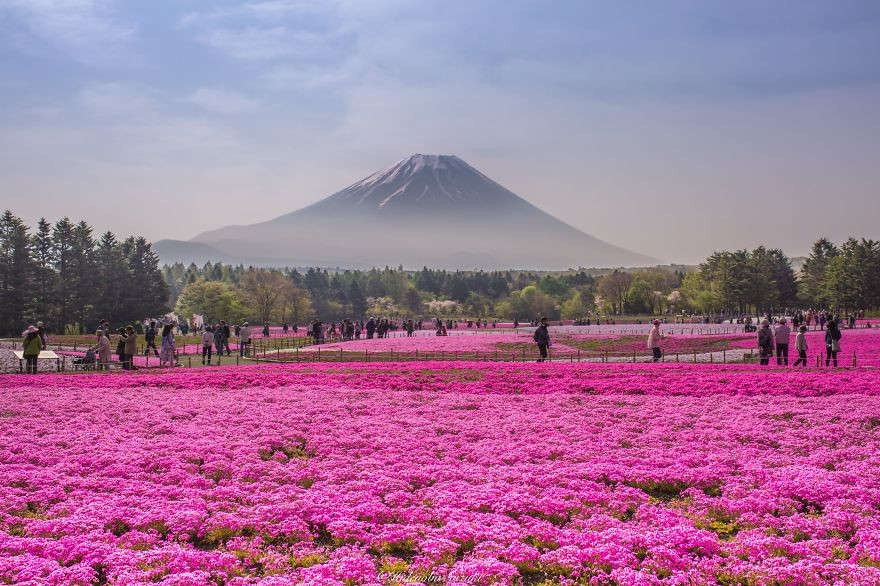 15 причин отправиться путешествовать по Японии