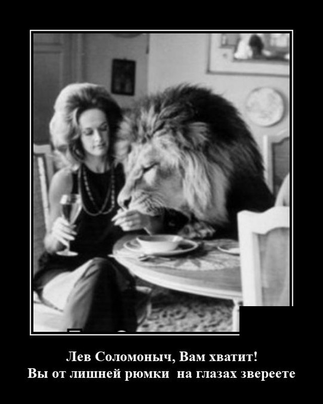 Демотиваторы (20 фото)