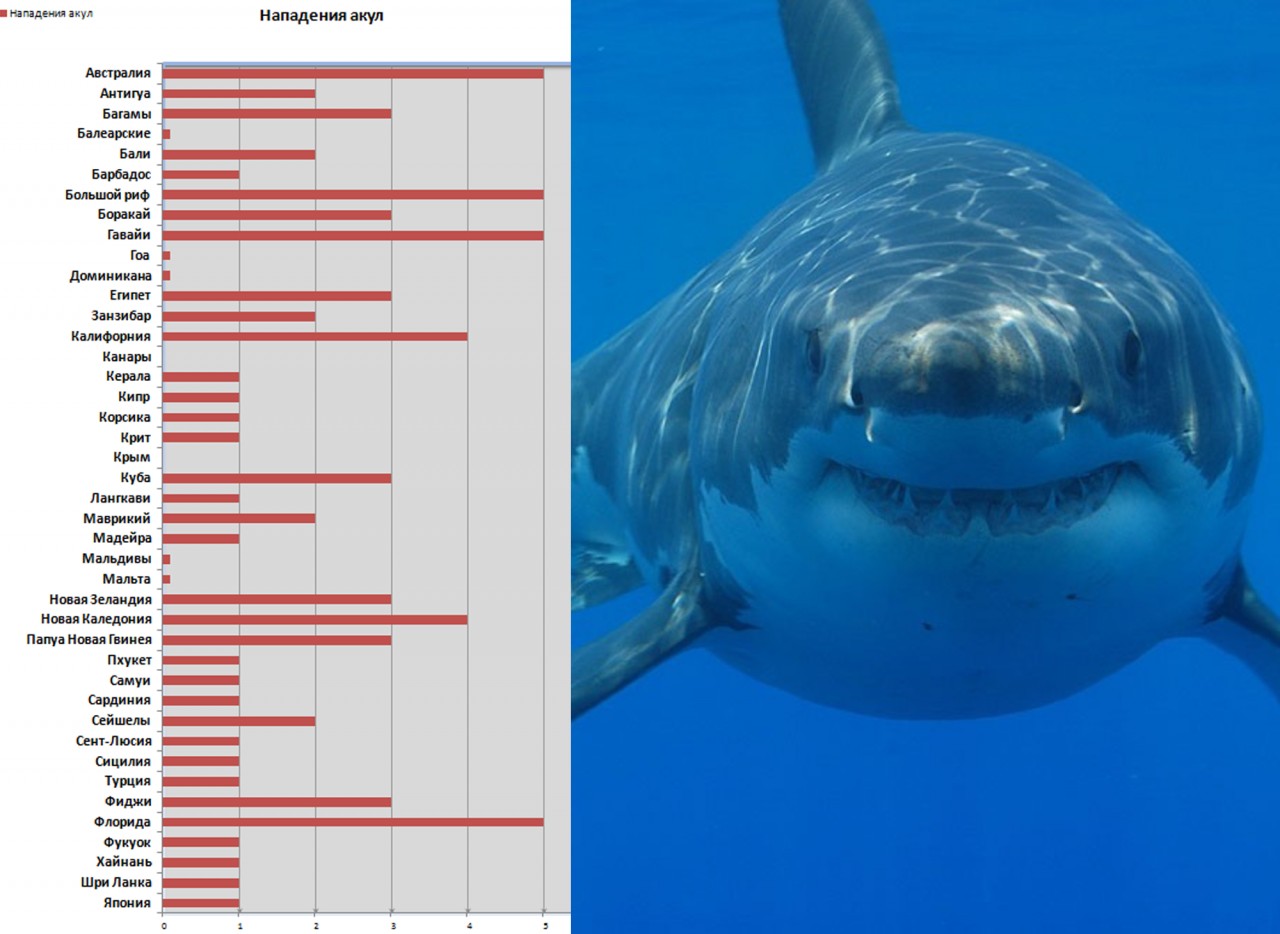 Статистика нападения акул. Статистика смертей от акул. Классификация акул. Нападение белой акулы на человека статистика.