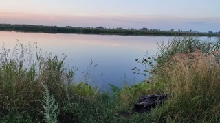 Водоем / Фото: МЧС Алтайского края