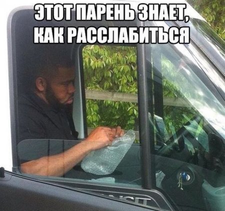 Прикольная фотоподборка (55 фото)