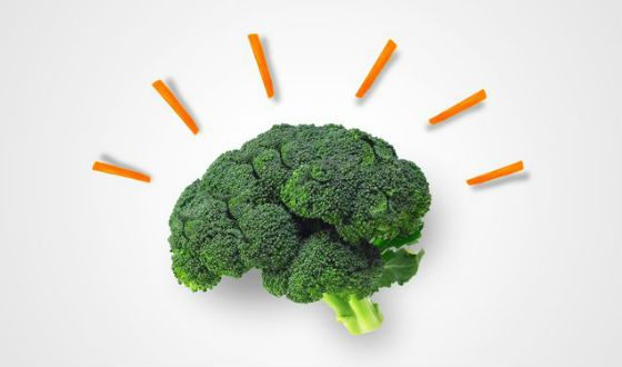 17 простых упражнений для улучшения памяти и интеллекта 